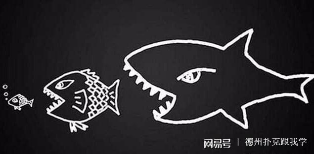 德州扑克nl级别_扑克水平提升技巧_扑克玩家成长路径