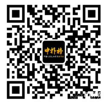 德州扑克排名_2024扑克赛事盘点_中扑榜排名变化趋势