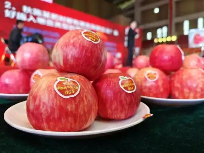 德州扑克在中国发展历程_打德州扑克赚钱_德州扑克职业选手收入分析
