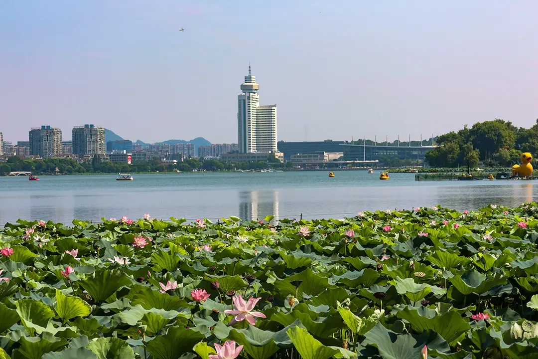 德州扑克俱乐部开设赌场辩护词_棋牌游戏运营者法律风险防范_德州扑克 盈利