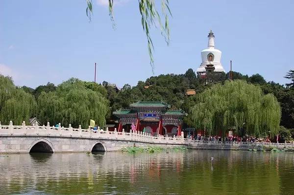 成为德州扑克职业牌手_万智牌职业选手安安经历_中国职业牌手十年