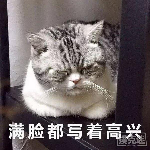 扑克中常见的五个糟糕错误_德州扑克手牌强度表_中级扑克玩家错误