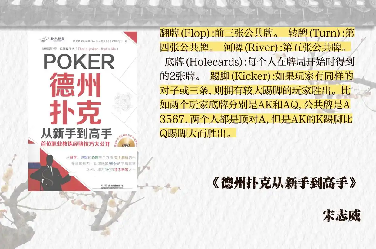 实战策略技巧_德州扑克鱼的判定_德州扑克专业术语解析