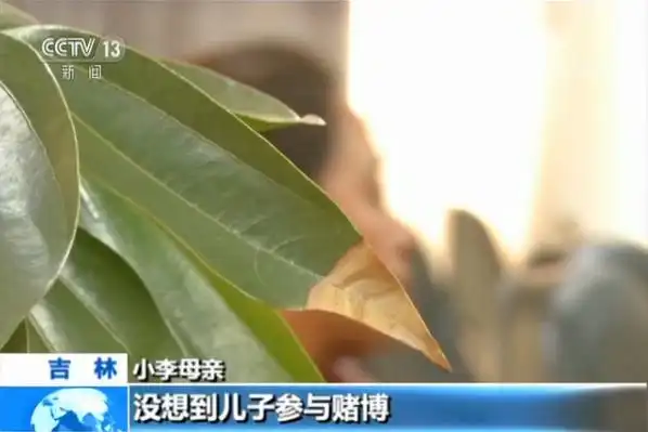 德州扑克现金网_吉林省公安机关侦破网络赌博案_网络德州扑克开设赌场案