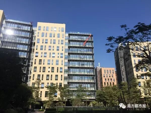 博雅德州扑克游戏币线下交易_深圳东方博雅科技公司非法侵占我血汗钱_腾讯德州扑克故意