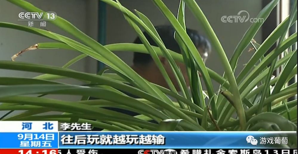 博雅互动德州扑克赌博案_网络游戏平台赌博案_新浪博雅德州扑克网页版