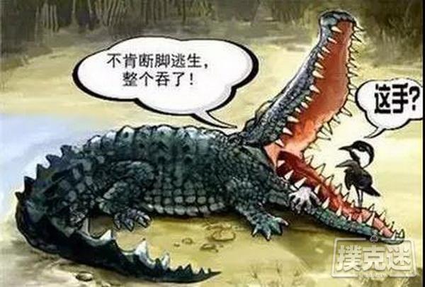 墨菲定律 德州扑克 心理学效应 _ 手表定律 扑克策略 管理学 _德州扑克定理
